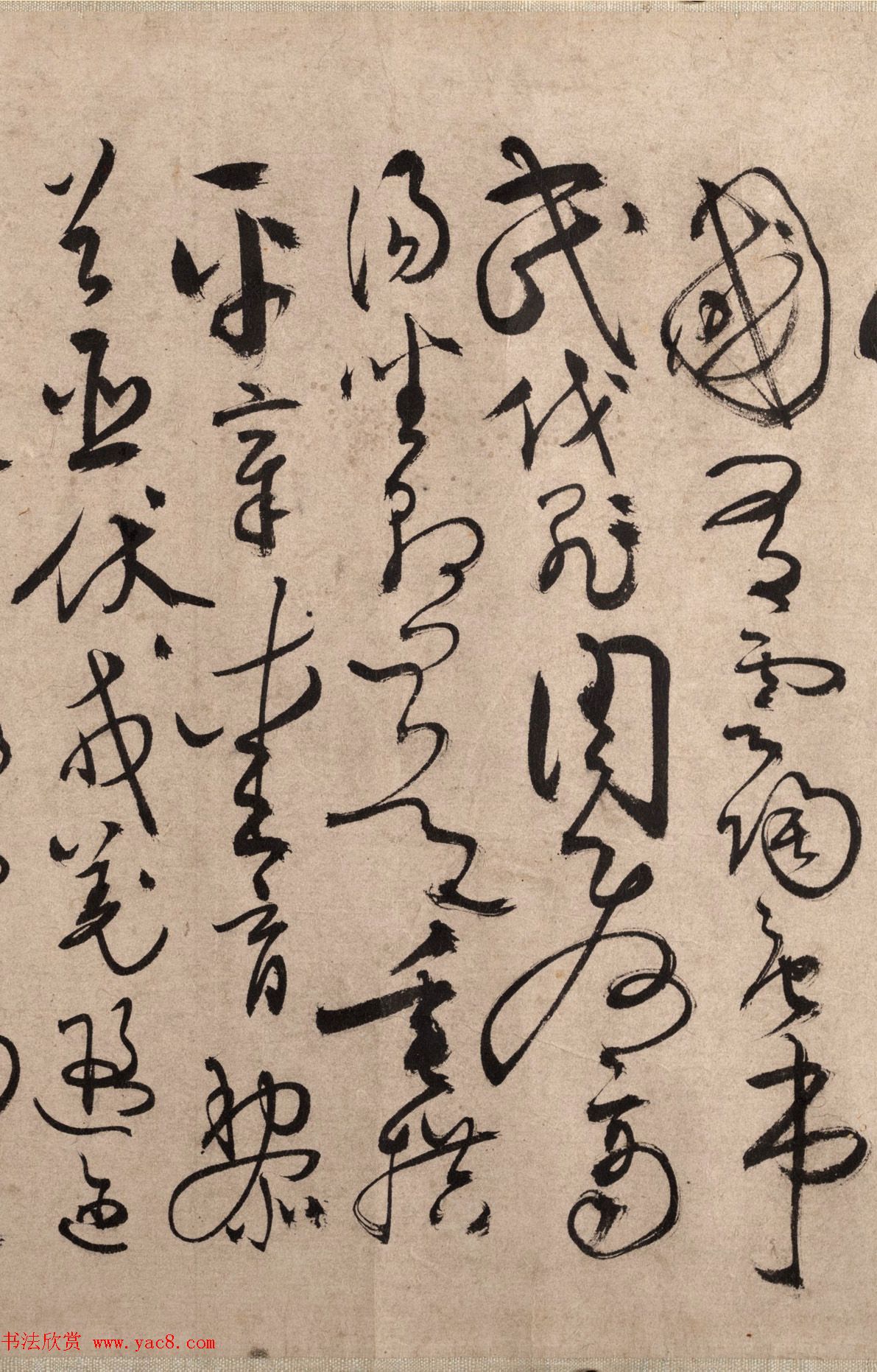 明代书法家张弼草书欣赏《千字文》手卷 明代书法家张弼草书欣赏《千字文》手卷