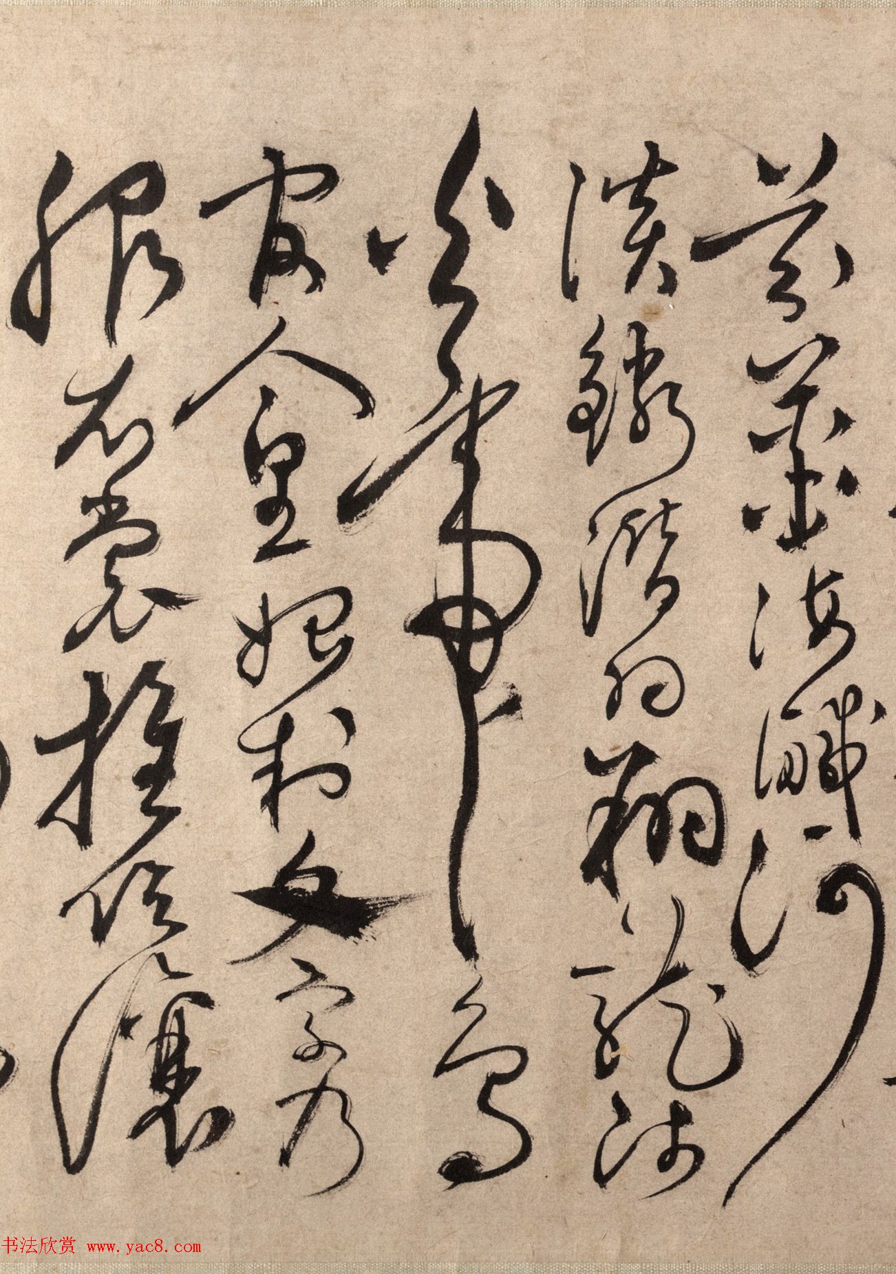 明代书法家张弼草书欣赏《千字文》手卷 明代书法家张弼草书欣赏《千字文》手卷