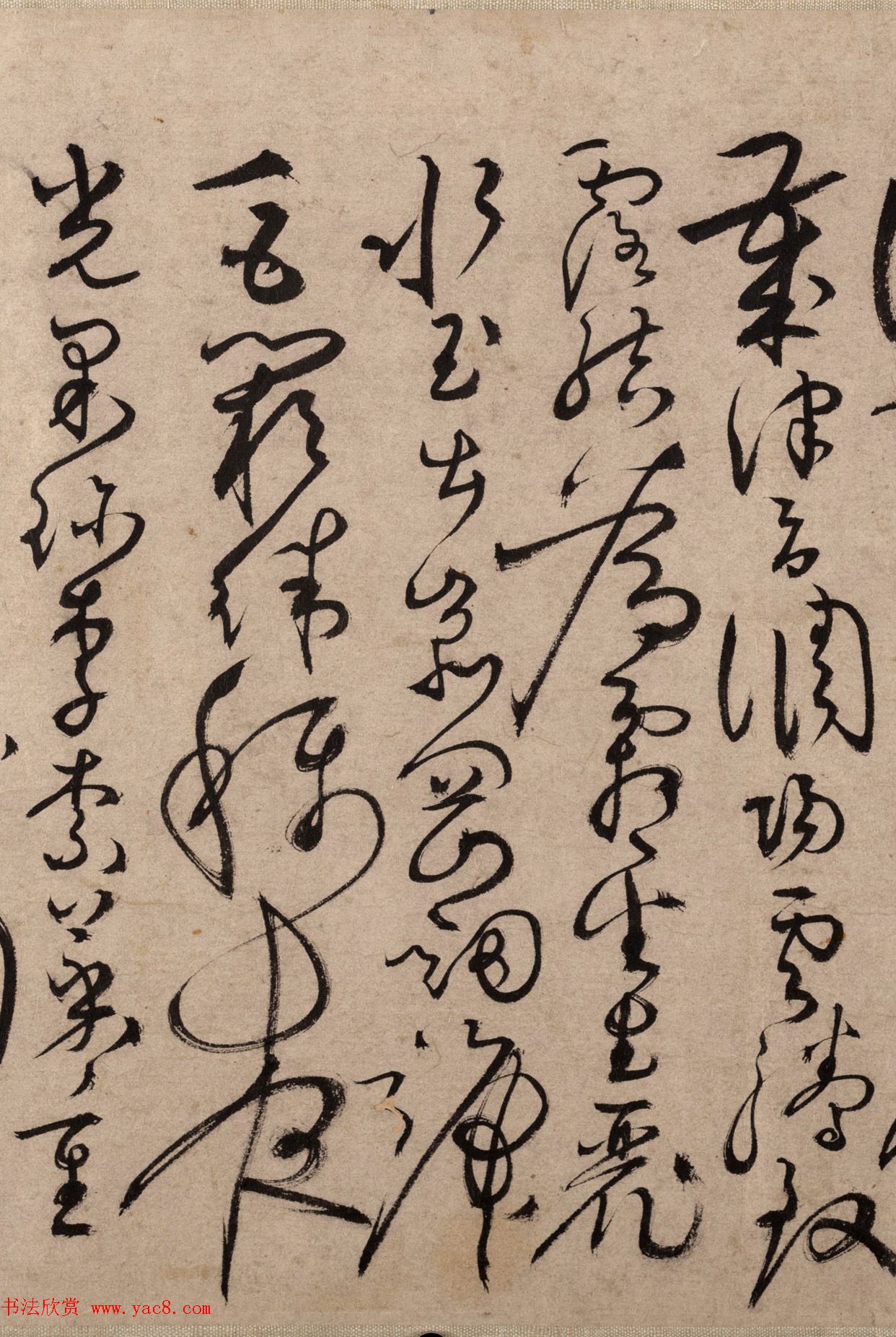 明代书法家张弼草书欣赏《千字文》手卷 明代书法家张弼草书欣赏《千字文》手卷