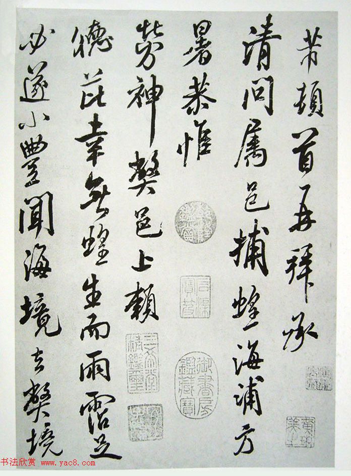 米芾致楚州长官书札《捕蝗帖》