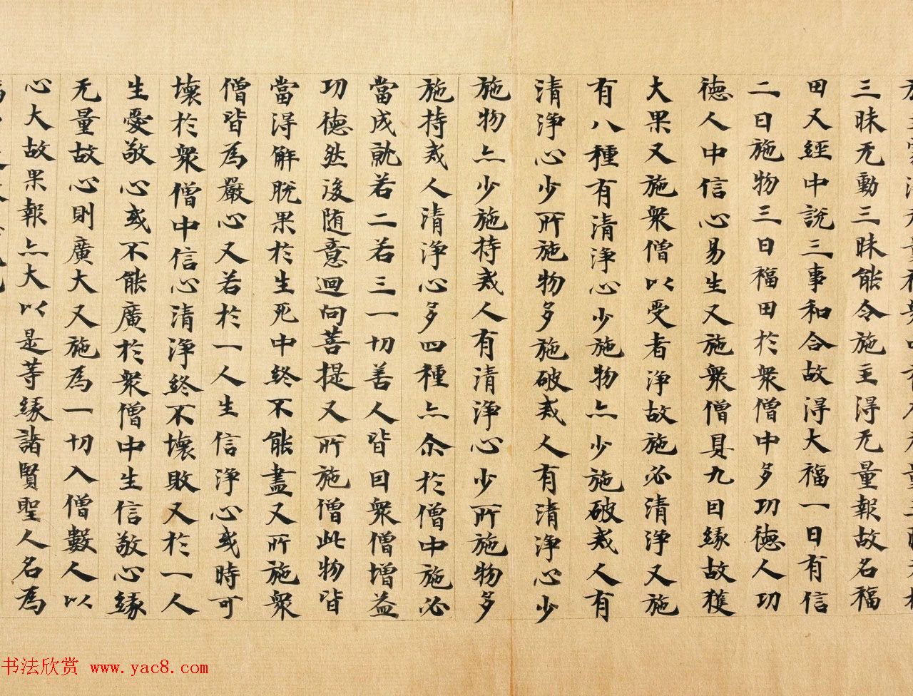 南北朝比丘惠谛写本《成实论经》