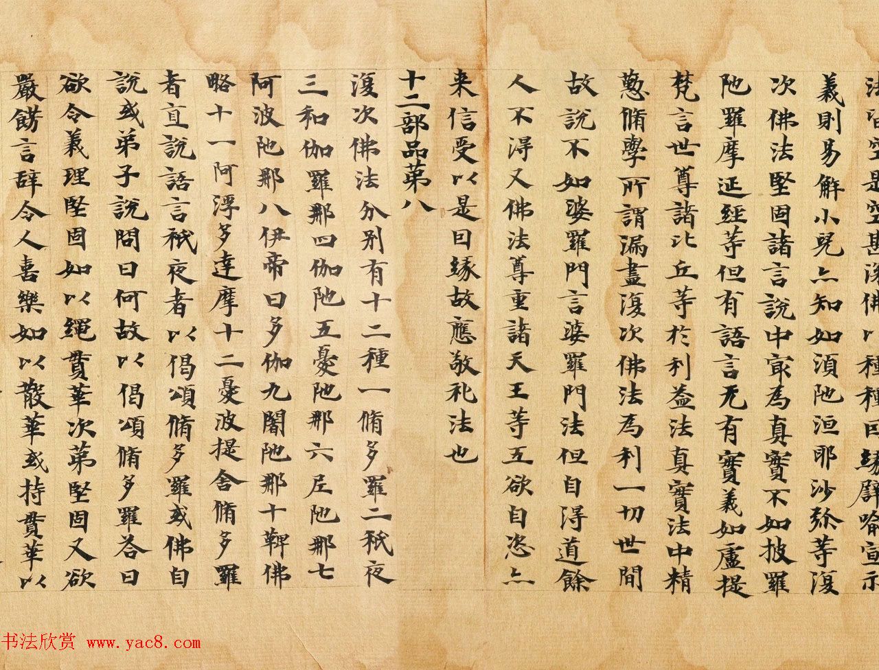 南北朝比丘惠谛写本《成实论经》