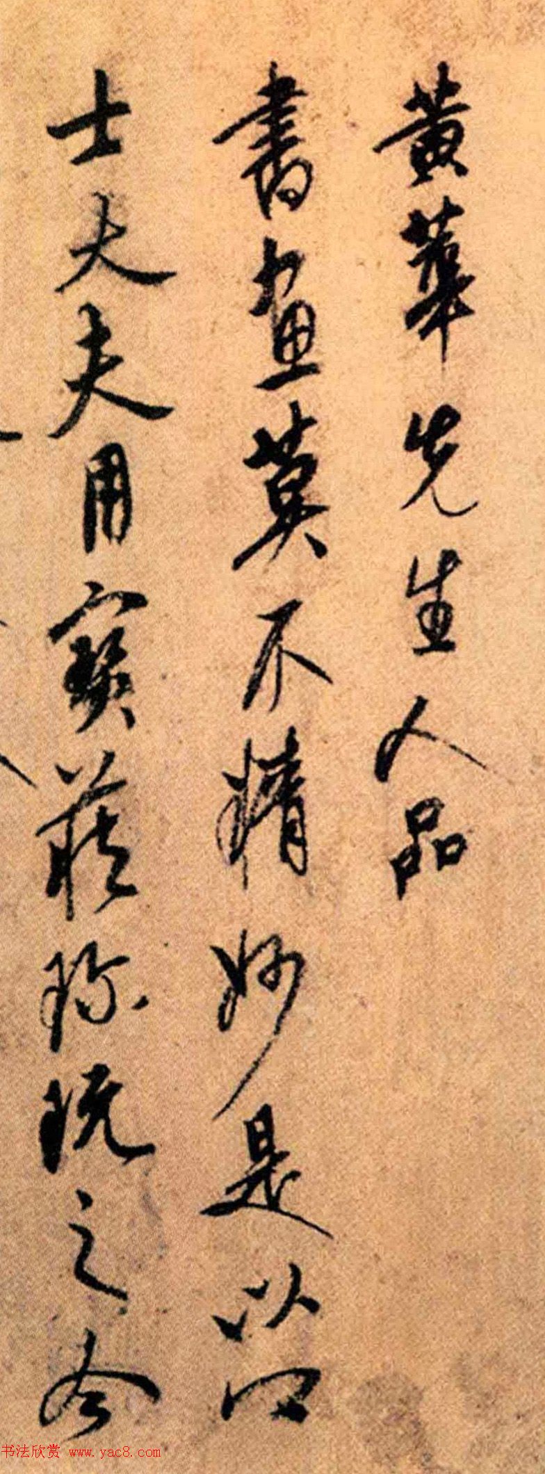 元代康里巎巎书法《跋幽竹枯槎图》