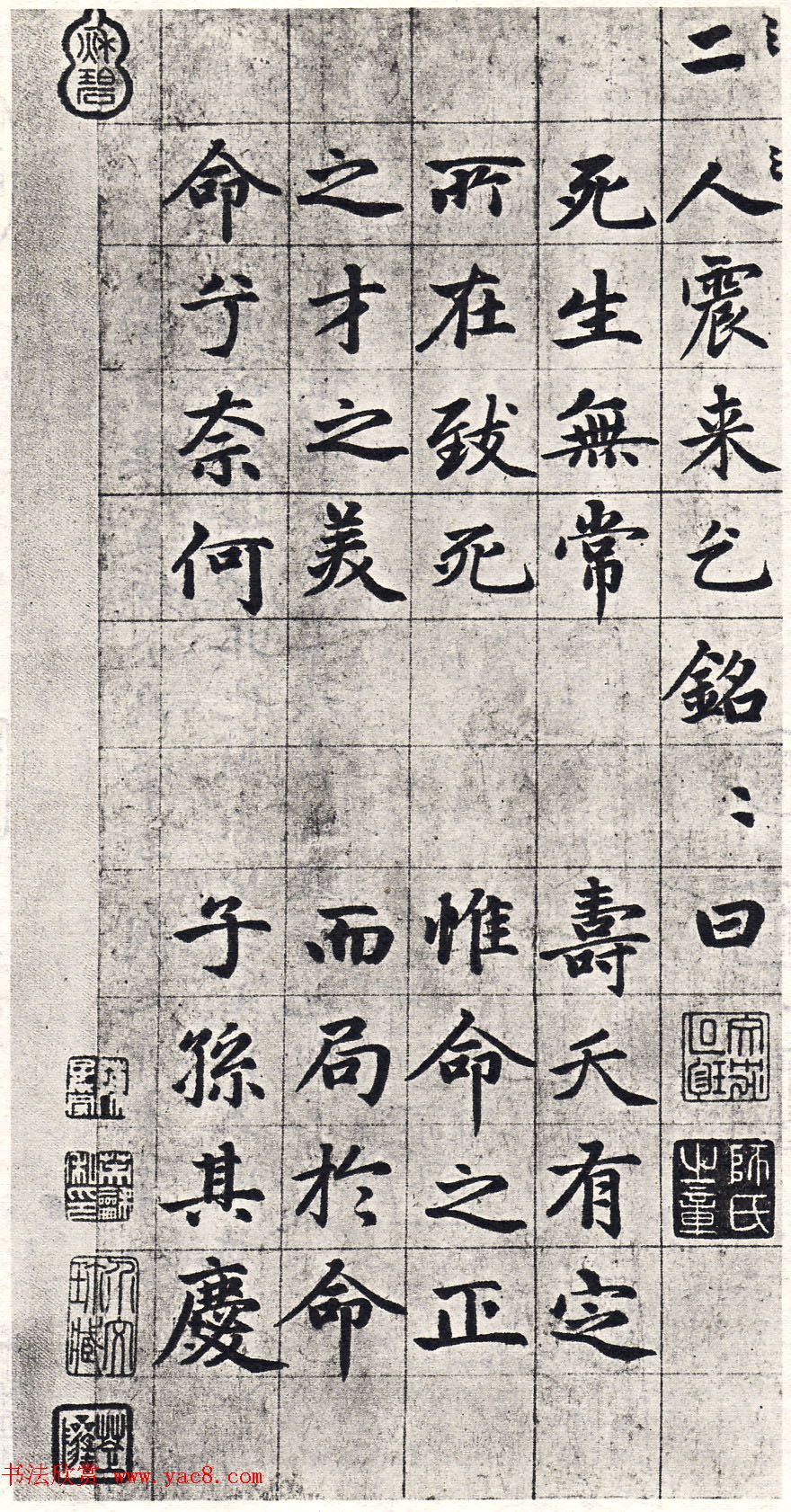 赵孟頫55岁中楷《张总管墓志铭卷》