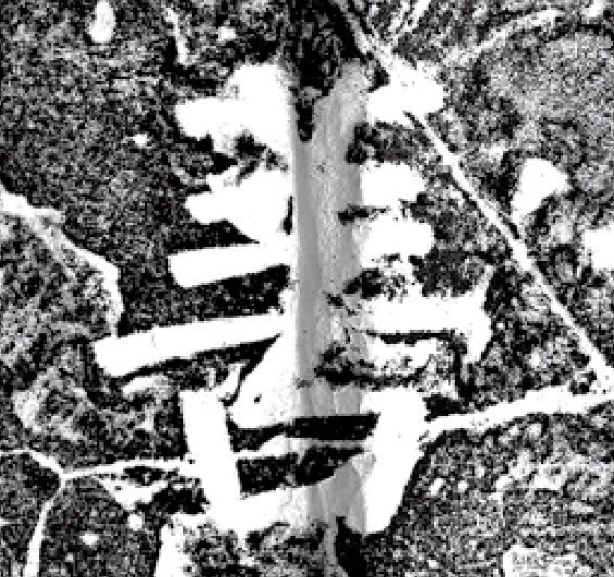 唐代颜真卿69岁楷书《西亭记》残碑 唐代颜真卿69岁楷书《西亭记》残碑