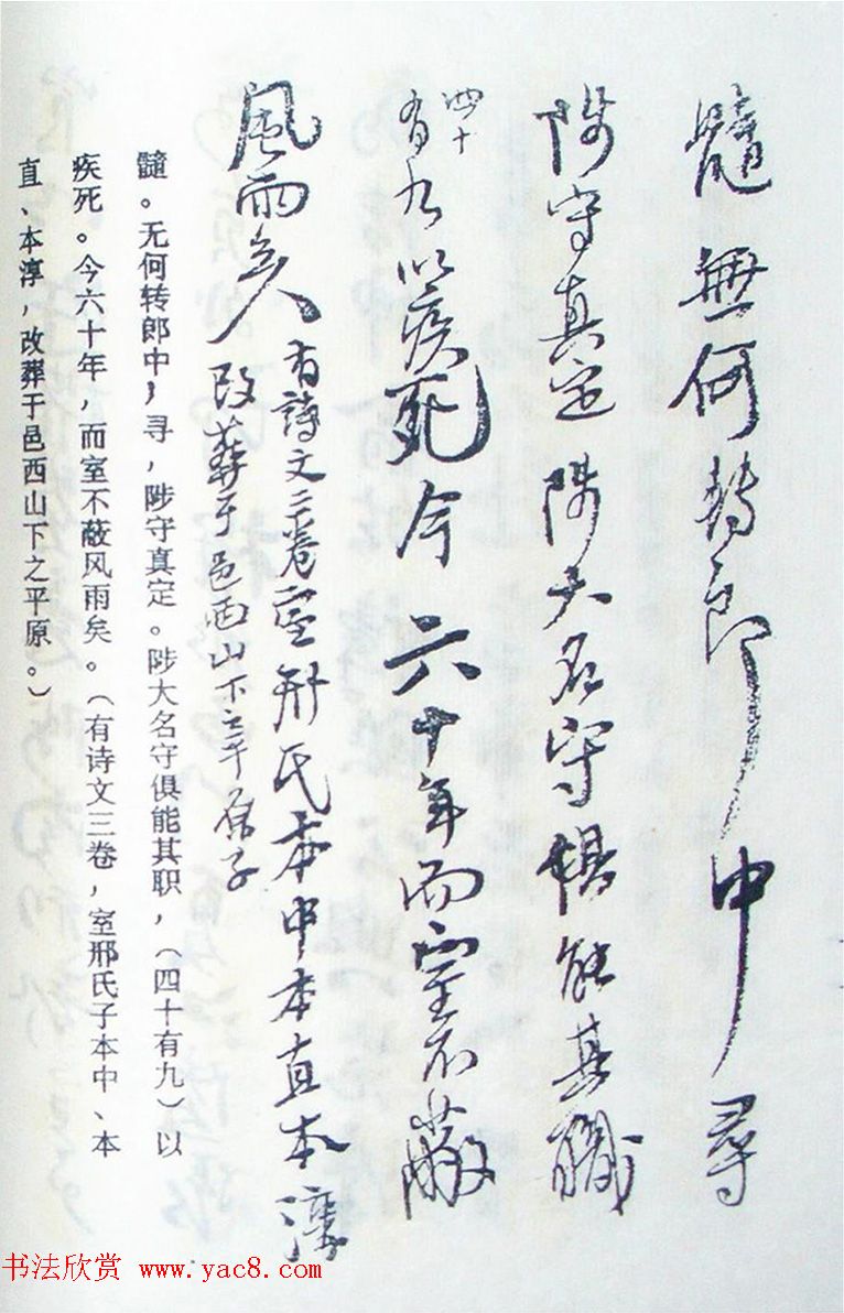 王铎行书欣赏《王氏家谱》