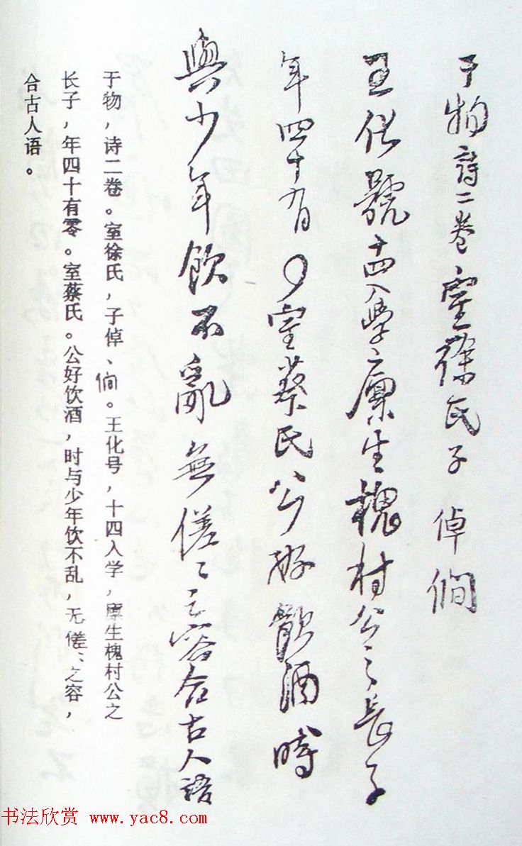 王铎行书欣赏《王氏家谱》