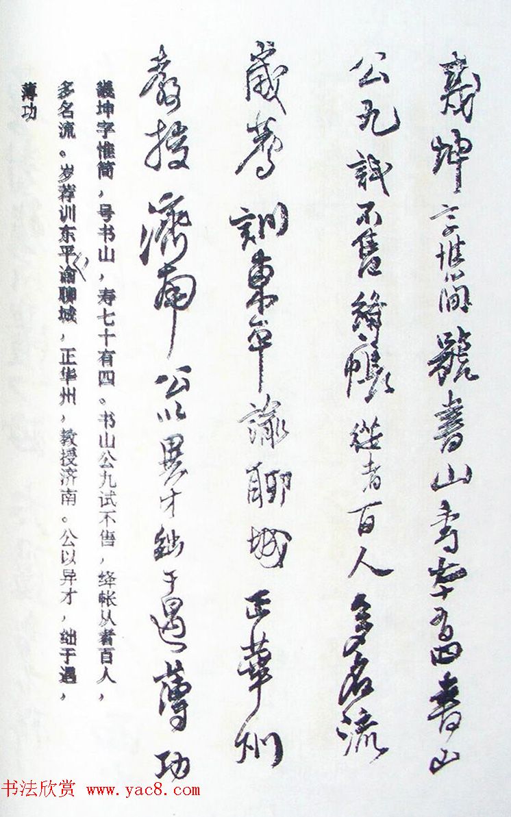 王铎行书欣赏《王氏家谱》