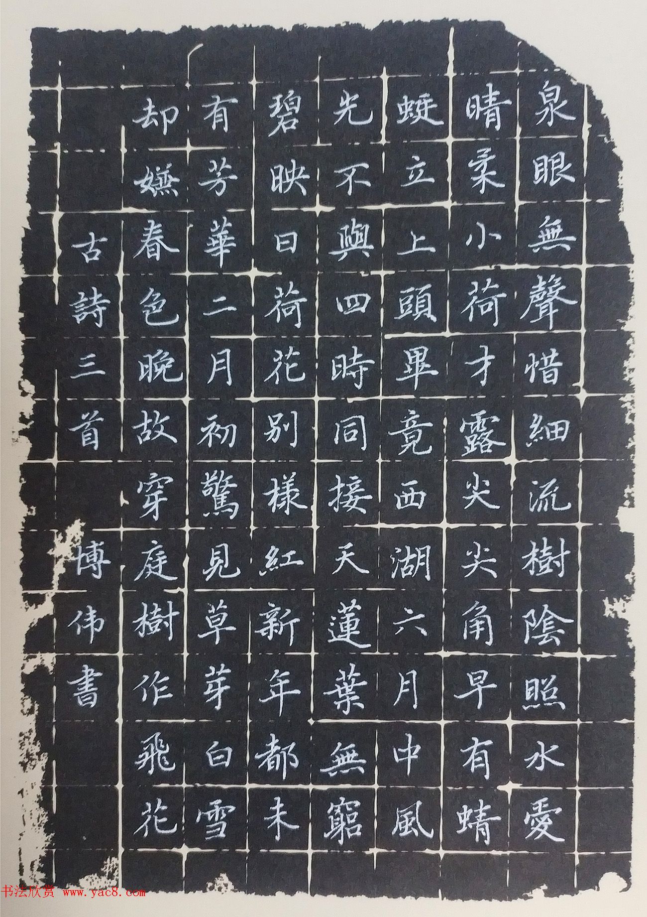 雄安新区赵博伟书法作品选刊