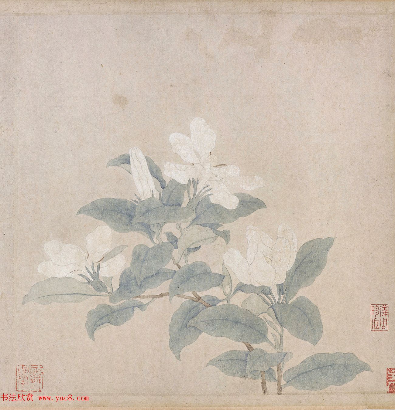 赵孟頫书法题跋《来禽栀子花图卷》