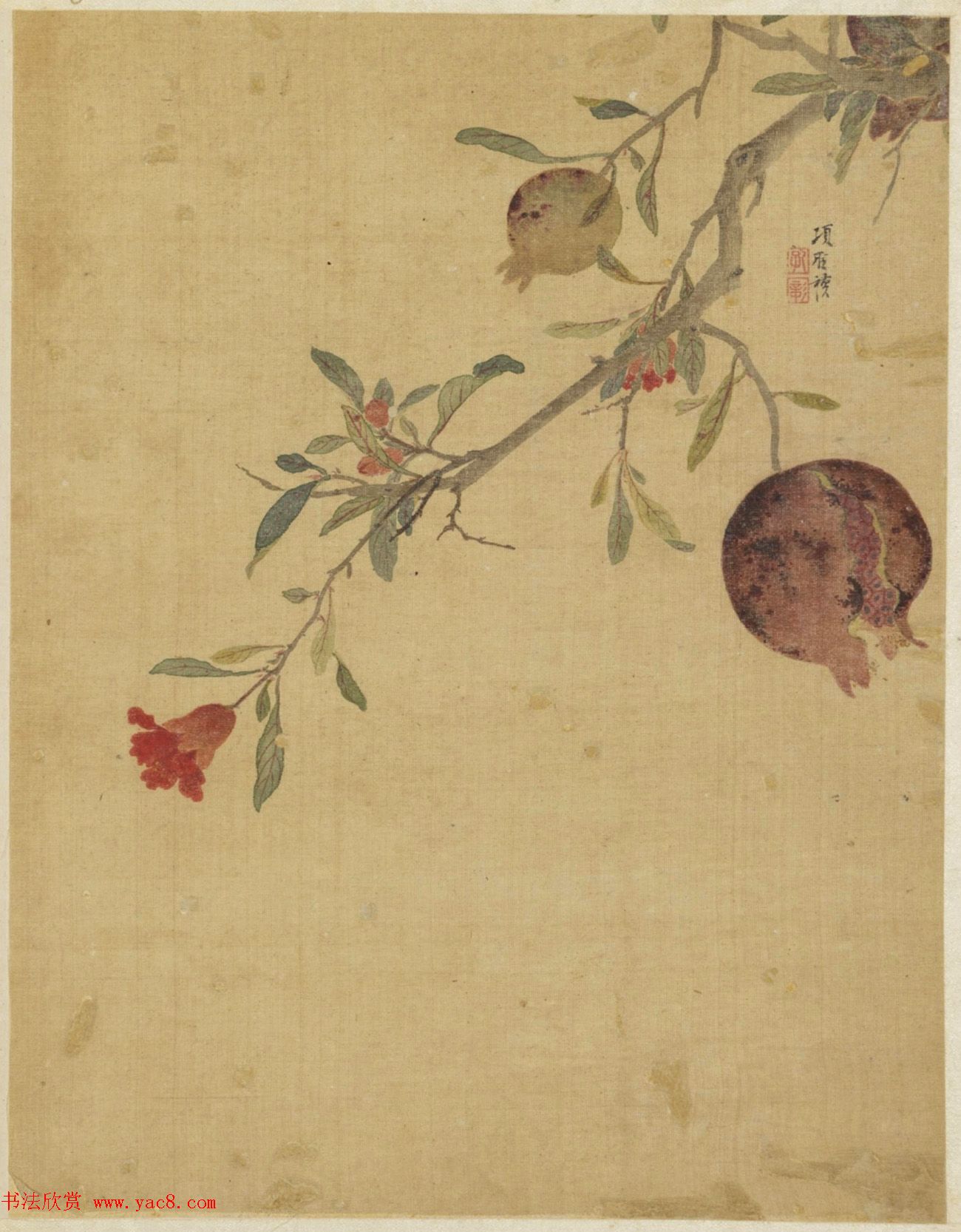 王文治书法题项圣谟花卉册