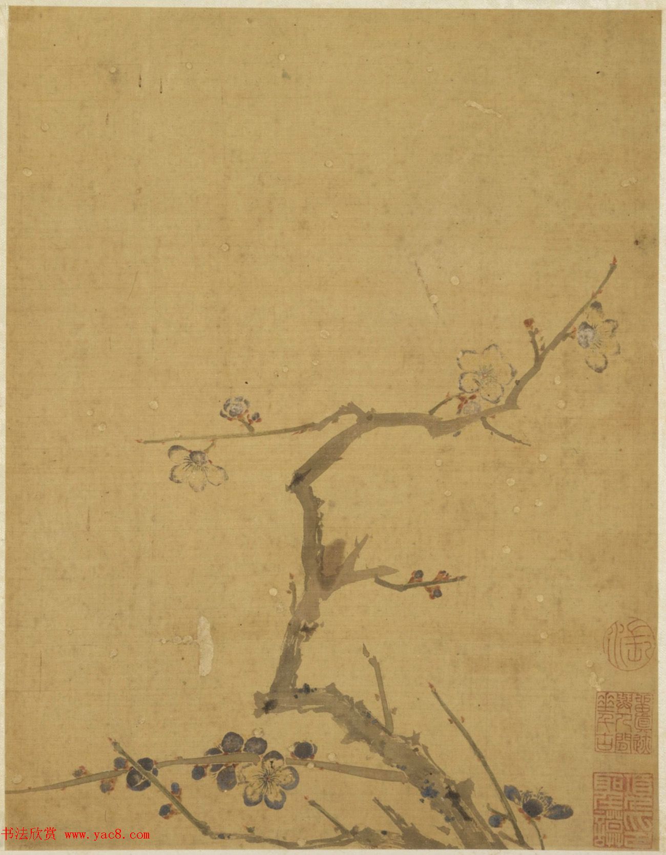 王文治书法题项圣谟花卉册