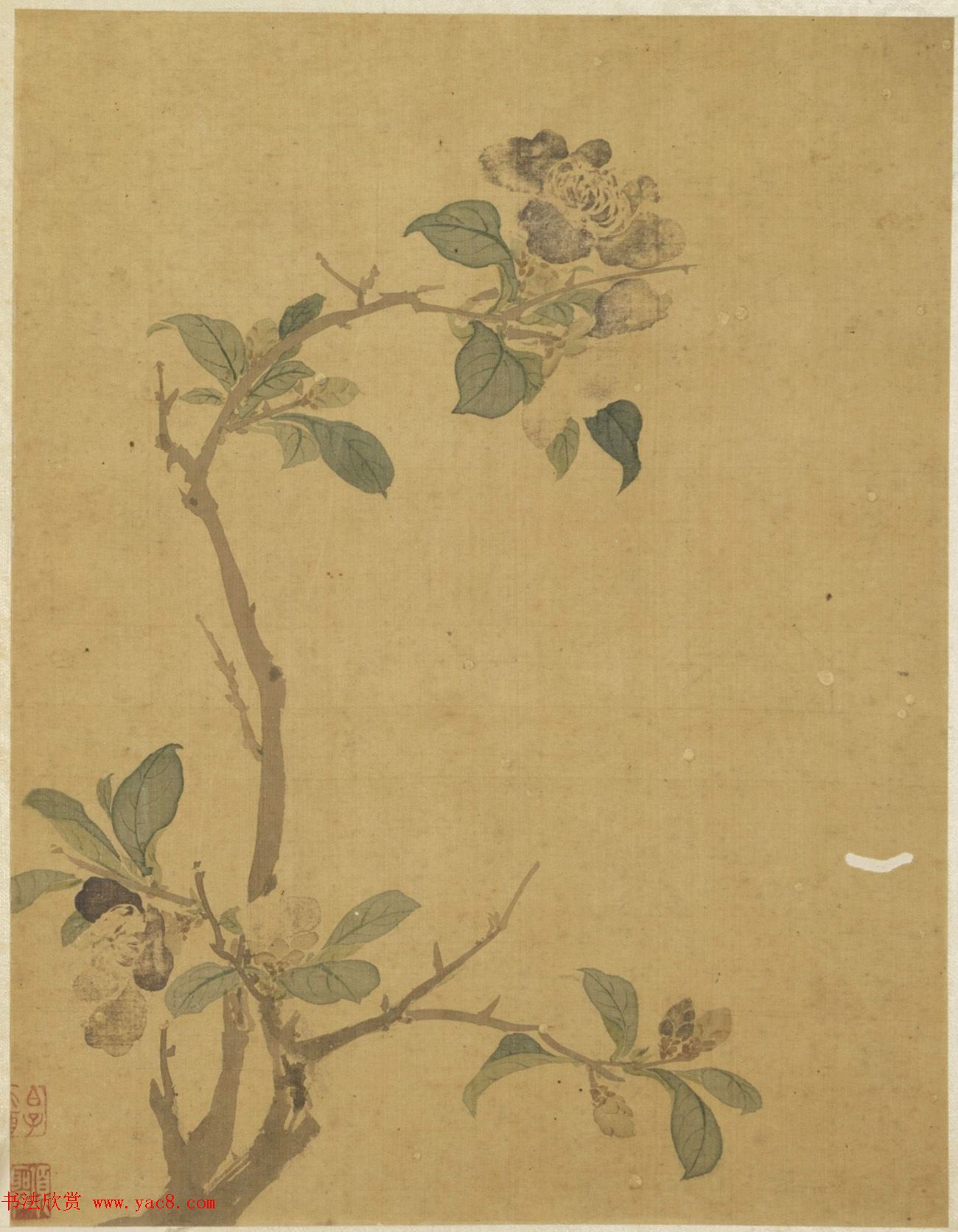 王文治书法题项圣谟花卉册