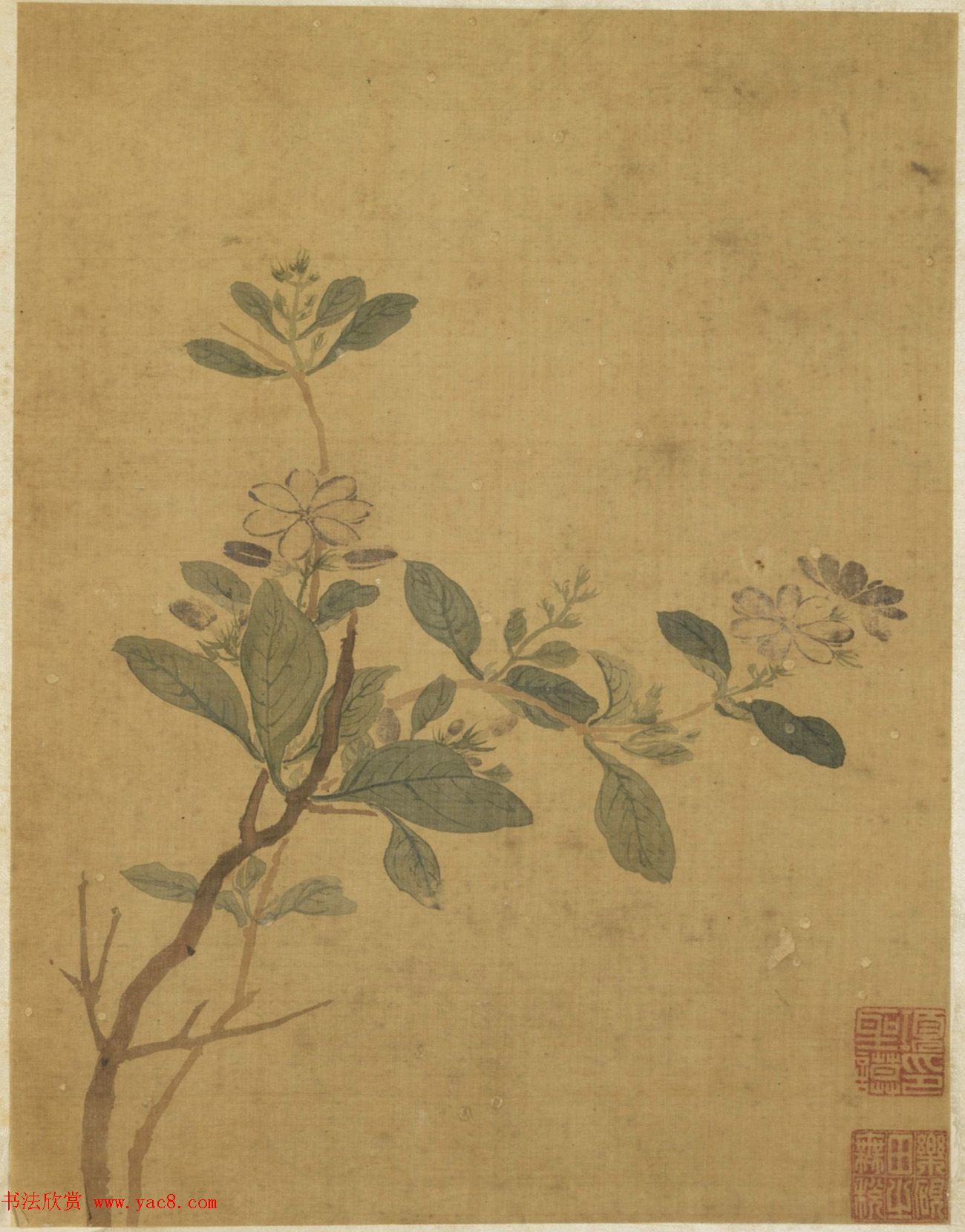 王文治书法题项圣谟花卉册