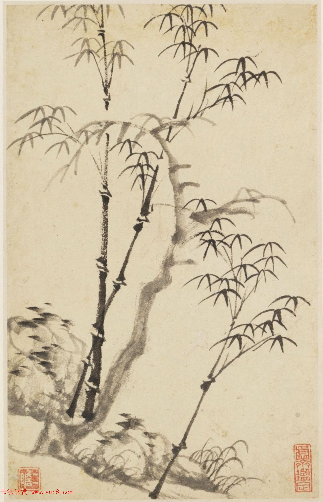 查士标字画欣赏《枯木竹石册》