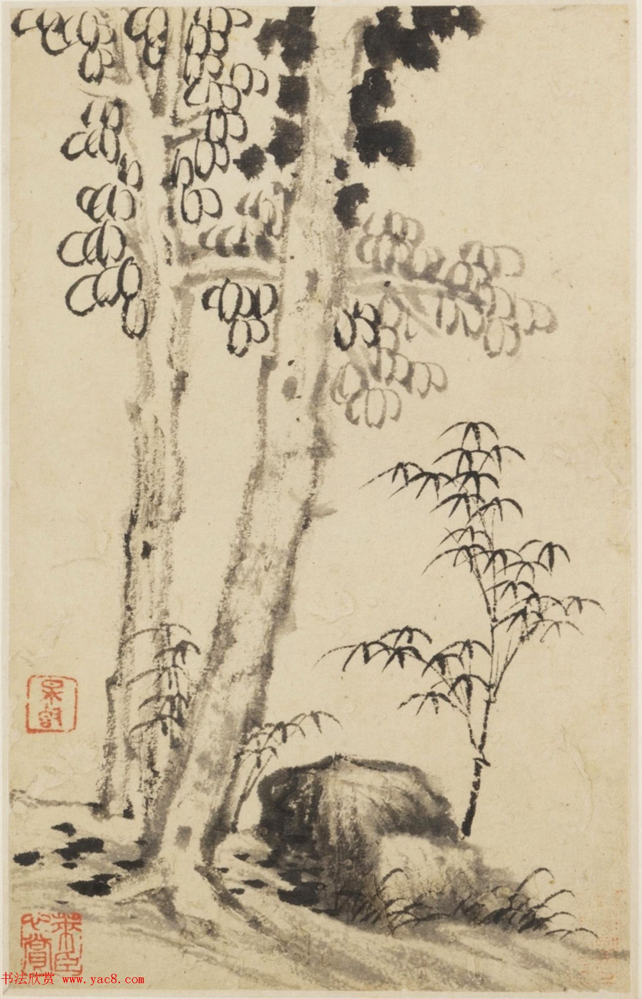 查士标字画欣赏《枯木竹石册》