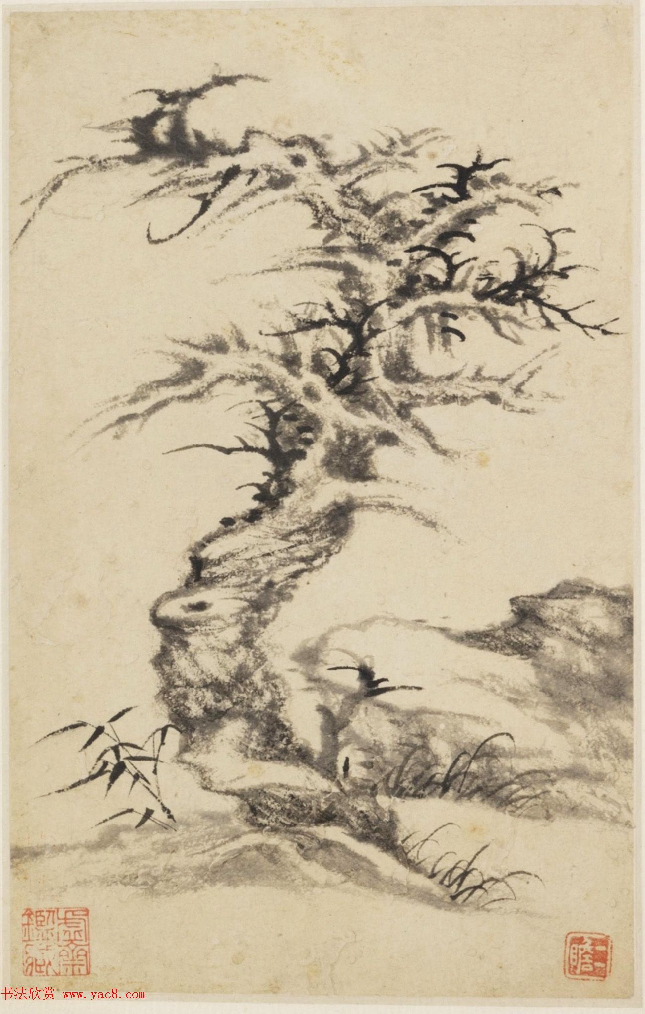 查士标字画欣赏《枯木竹石册》