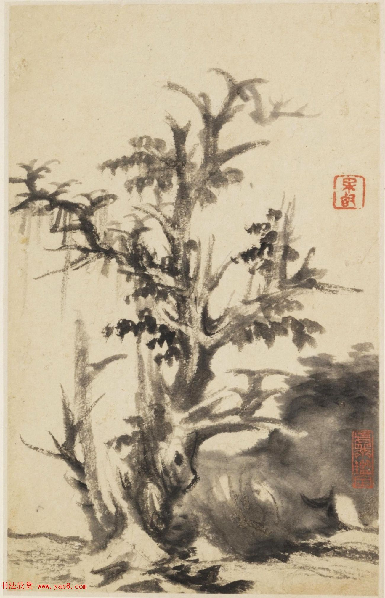 查士标字画欣赏《枯木竹石册》