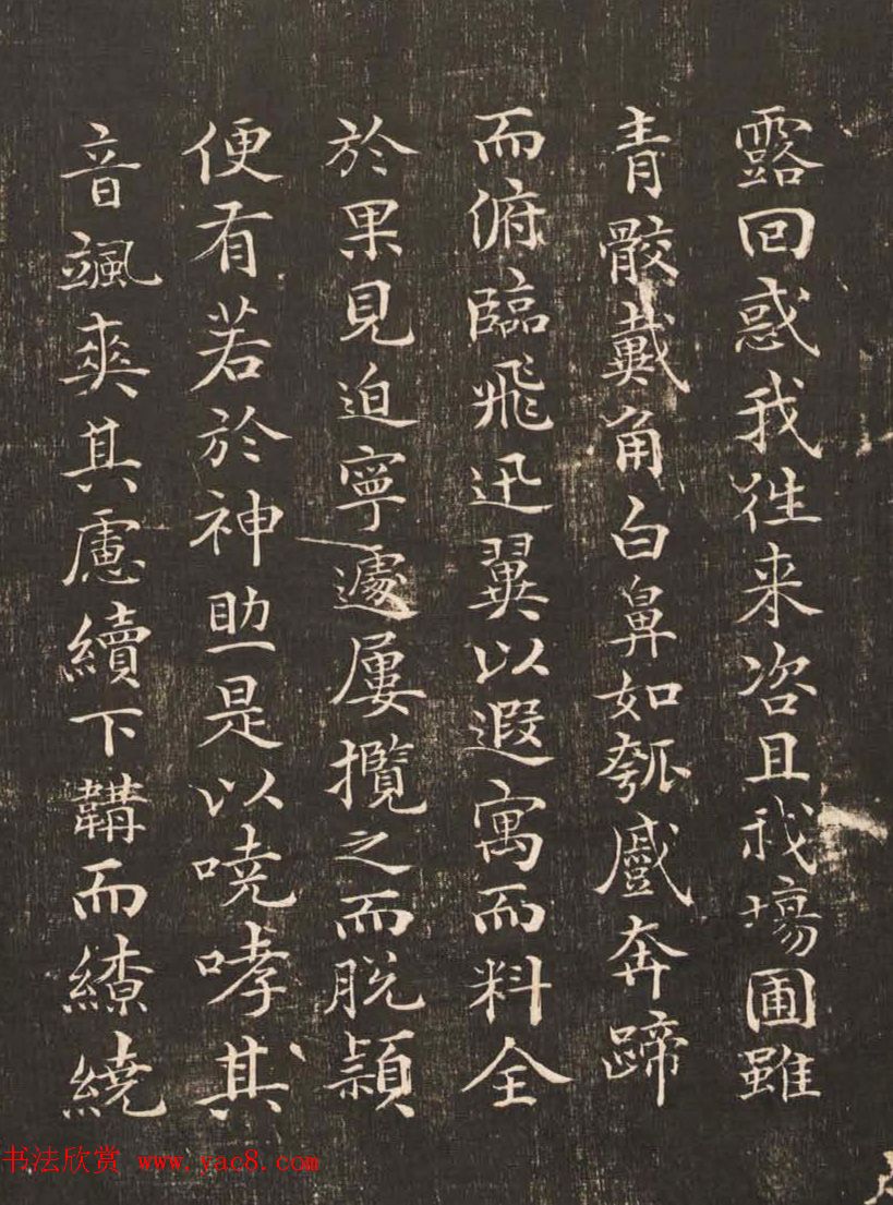 祝允明50岁小楷《雕赋并表》