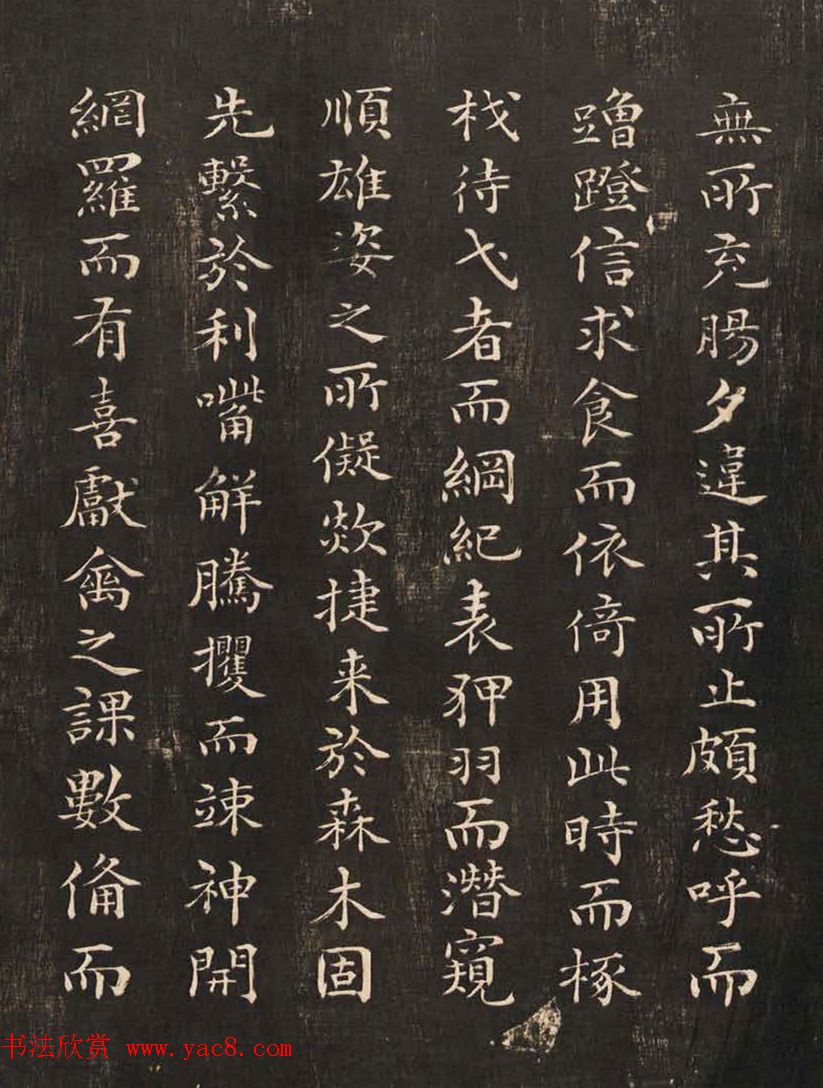 祝允明50岁小楷《雕赋并表》