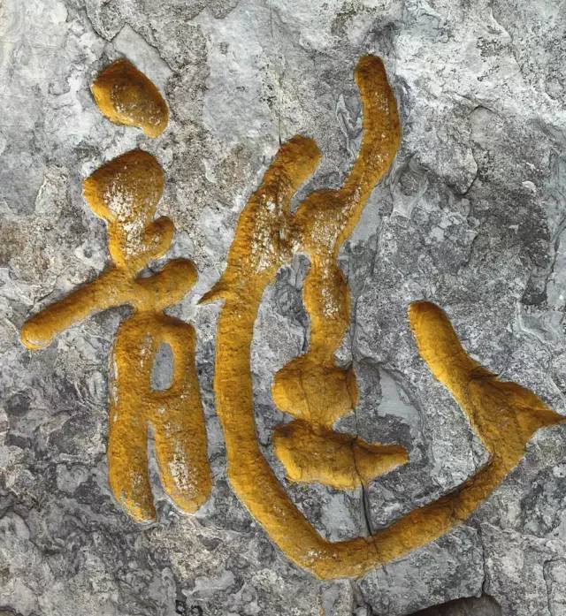 龙字书法写法大全