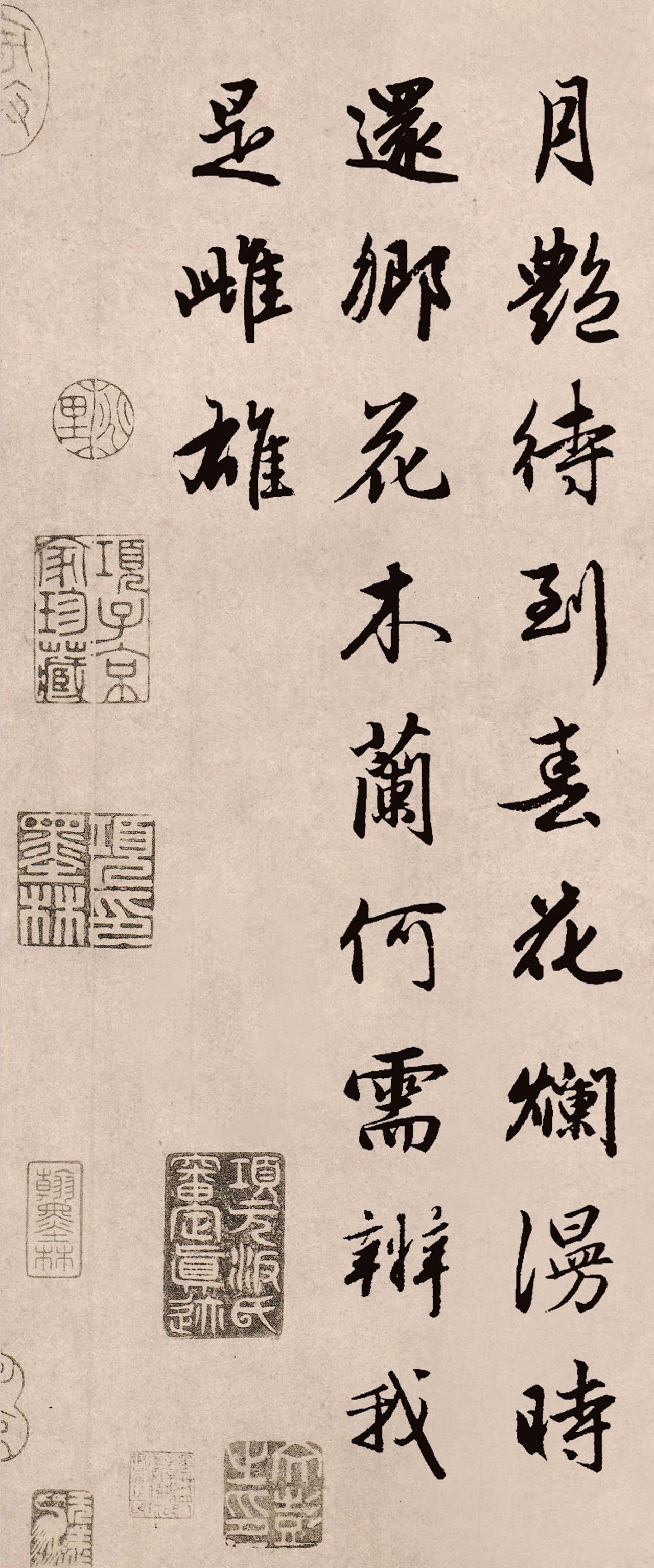 赵孟頫行书集字《木兰辞》抗疫版