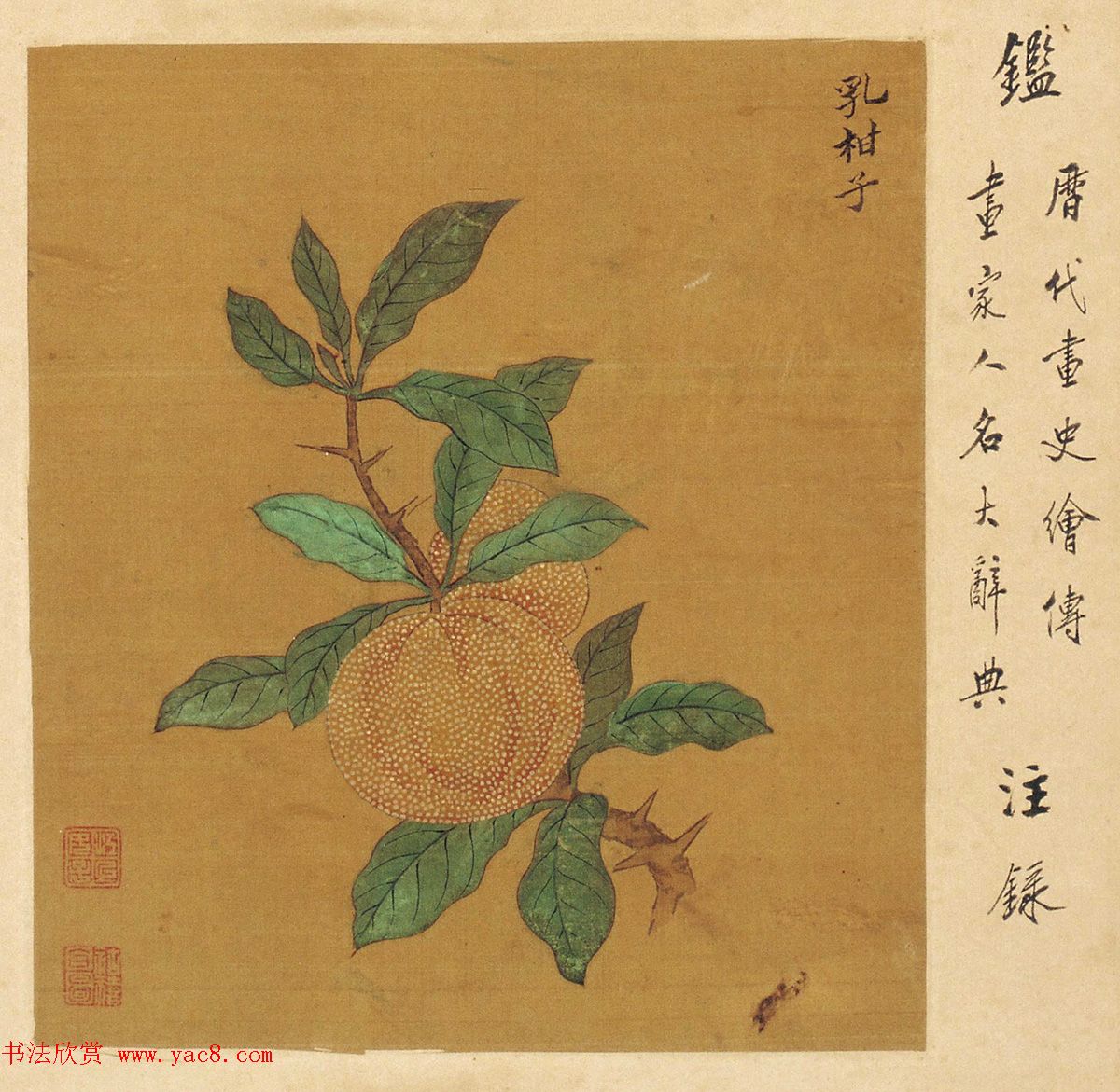 周淑禧、周淑祜两姐妹小楷《本草图》四条屏