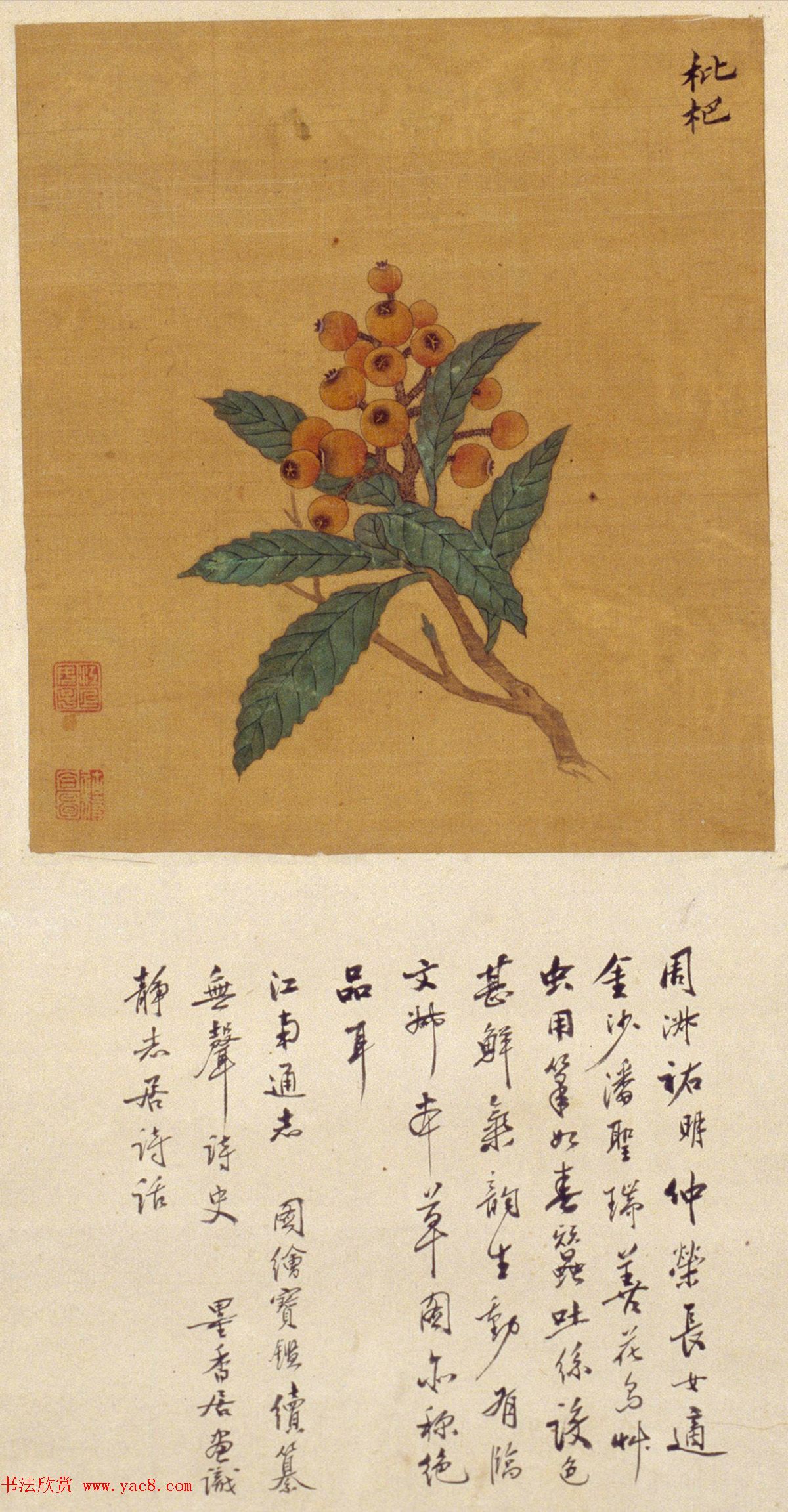 周淑禧、周淑祜两姐妹小楷《本草图》四条屏