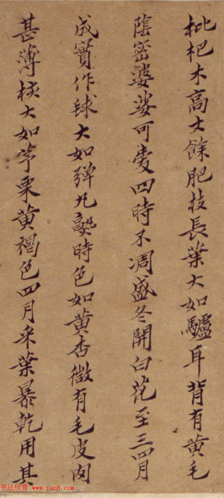 周淑禧、周淑祜两姐妹小楷《本草图》四条屏