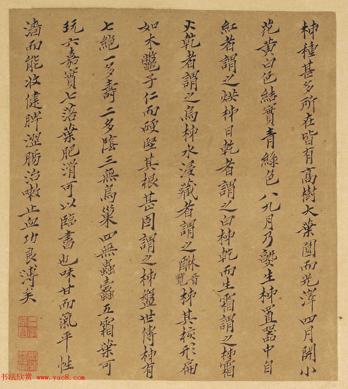 周淑禧、周淑祜两姐妹小楷《本草图》四条屏