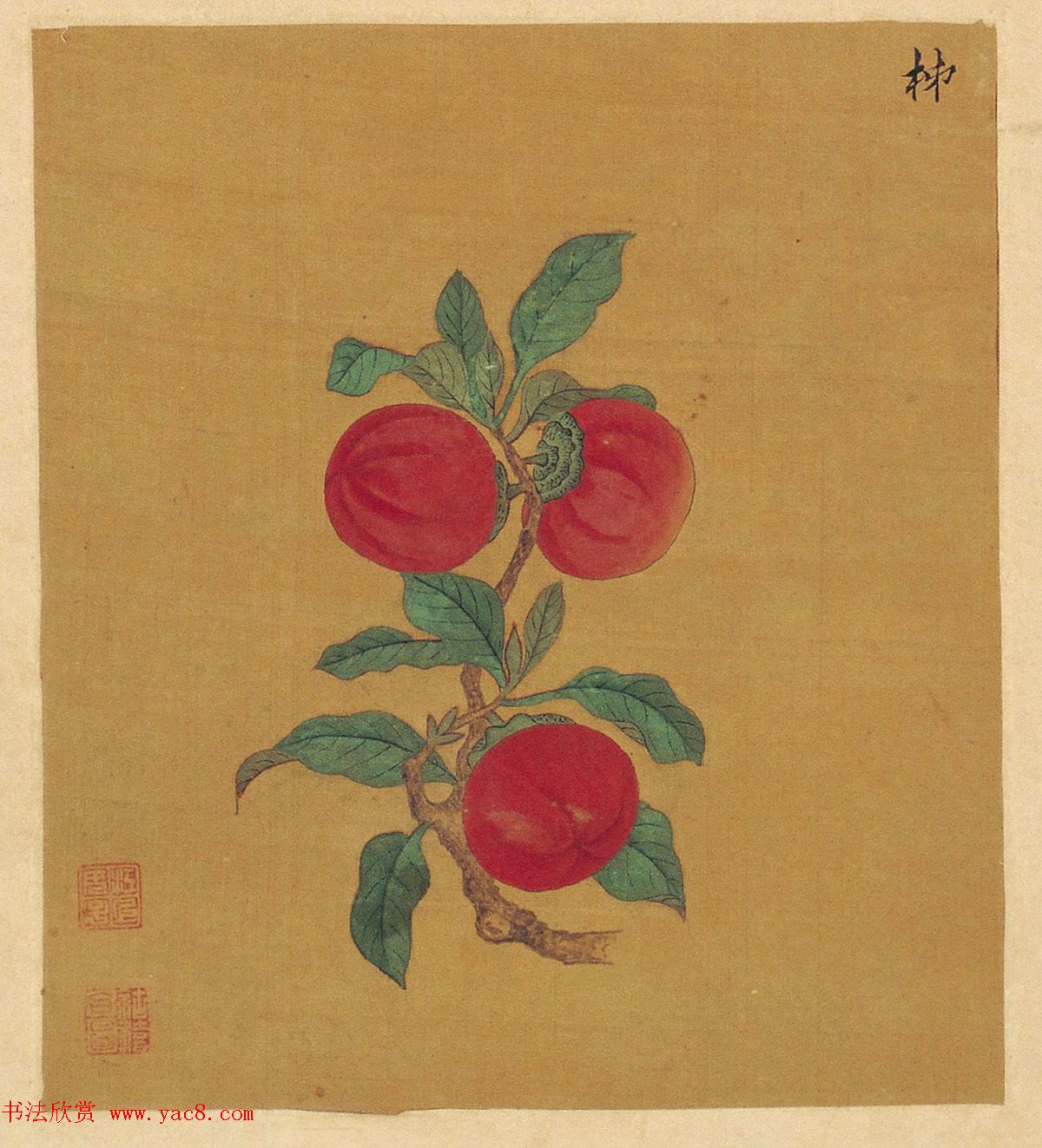 周淑禧、周淑祜两姐妹小楷《本草图》四条屏