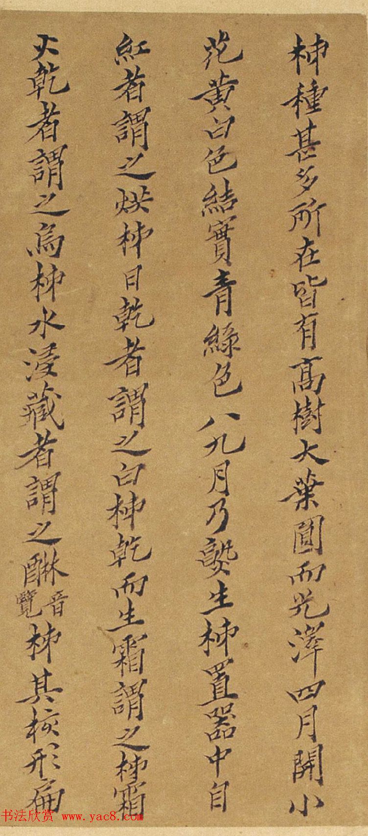 周淑禧、周淑祜两姐妹小楷《本草图》四条屏