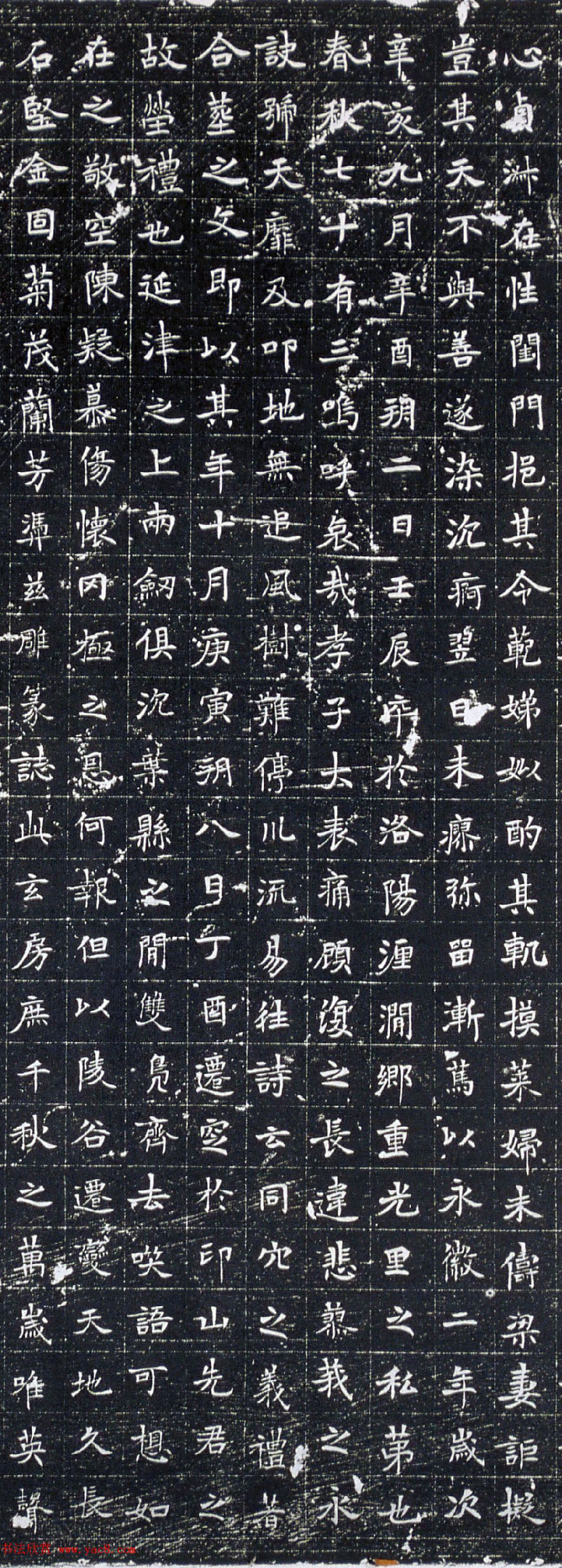 唐代楷书刻石《高阳令赵君夫人姚洁墓志》