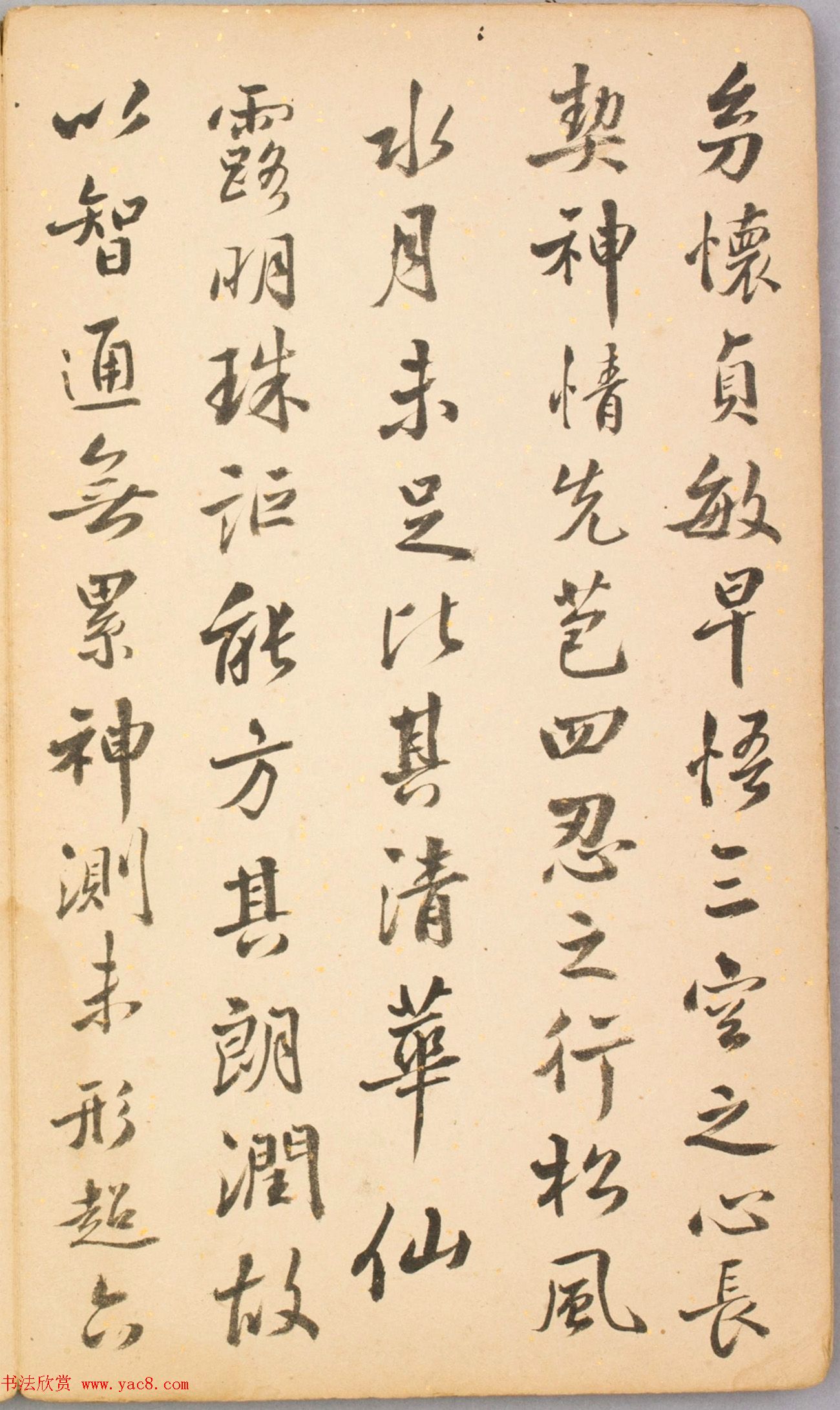 清代毛辉祖等11人书法册页