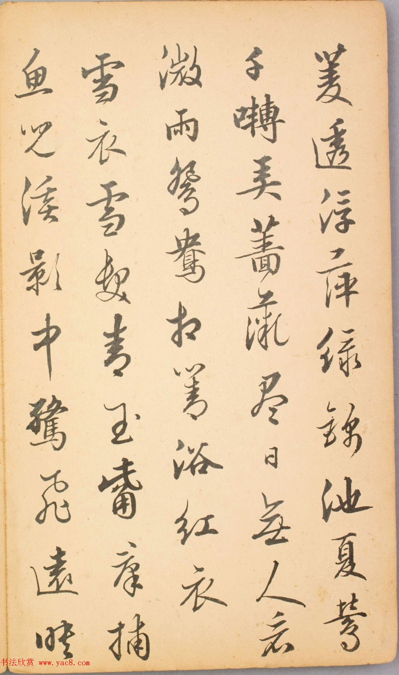 清代毛辉祖等11人书法册页