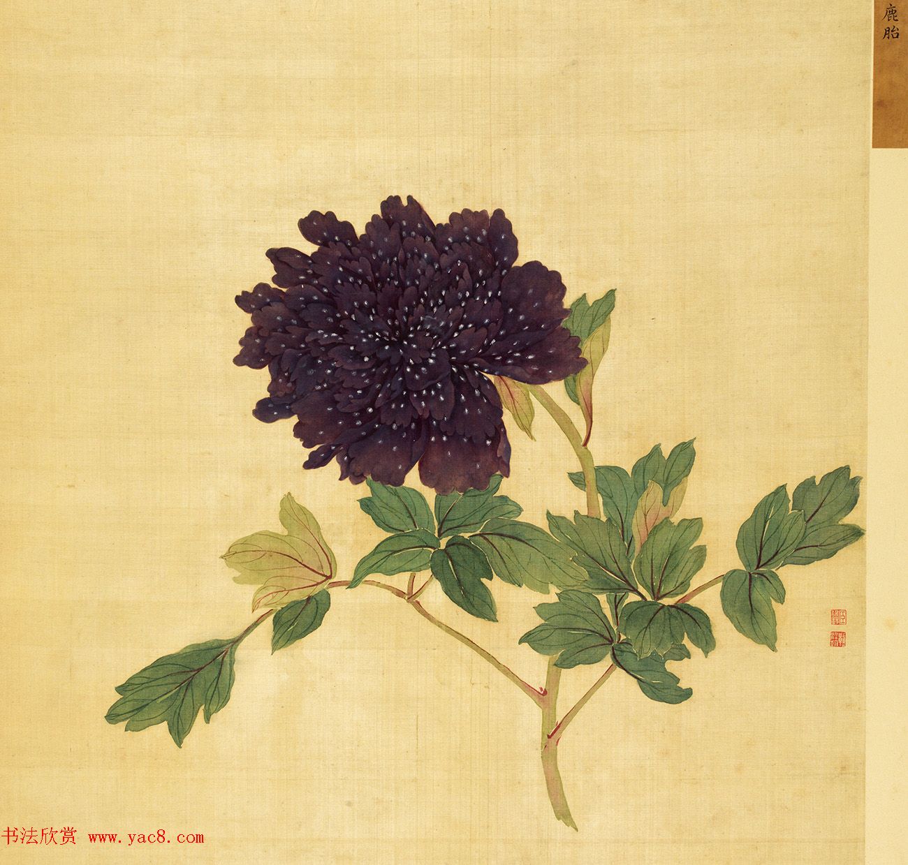 宫廷书法家戴临行书《题蒋廷锡牡丹谱》