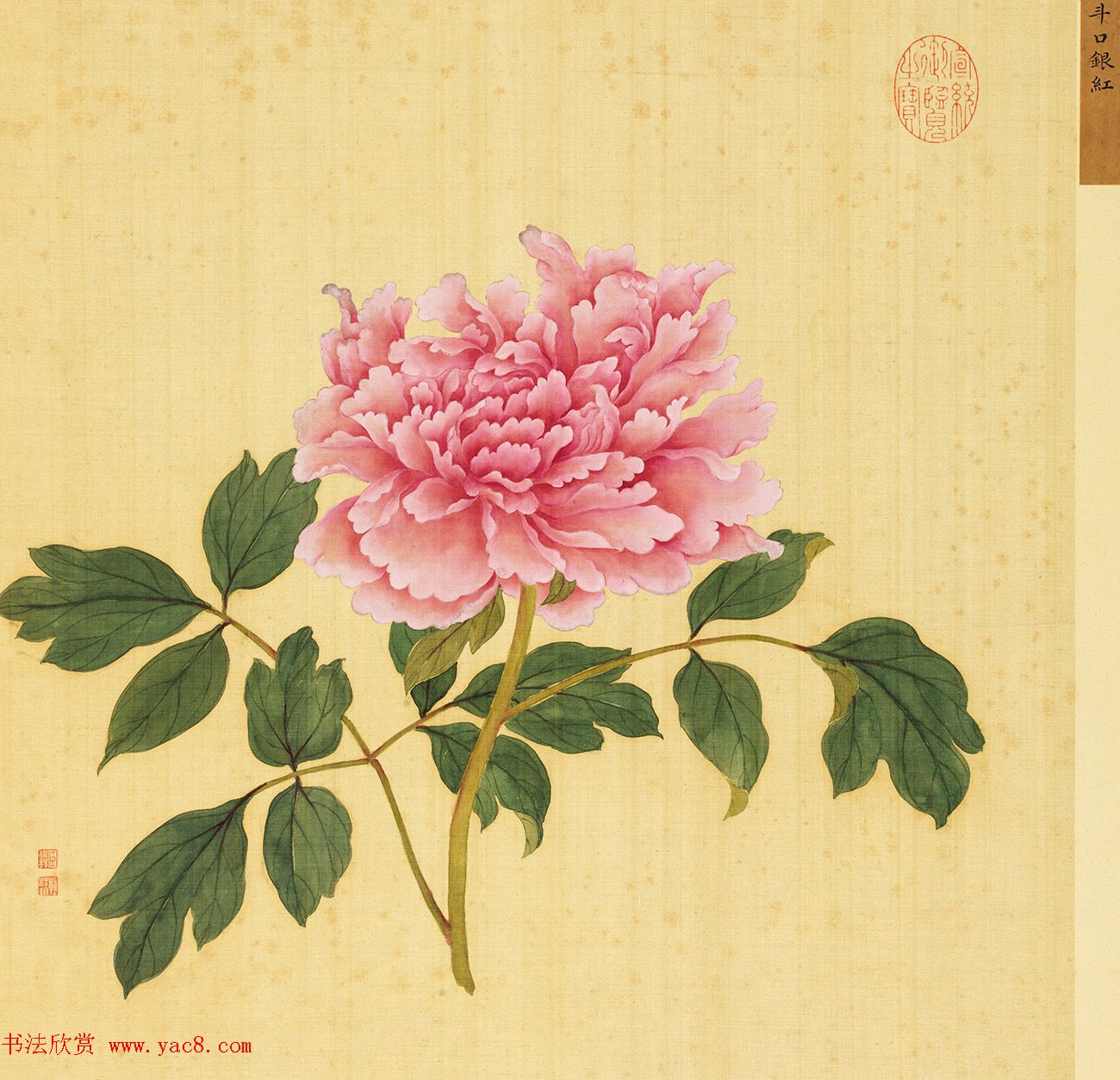 宫廷书法家戴临行书《题蒋廷锡牡丹谱》