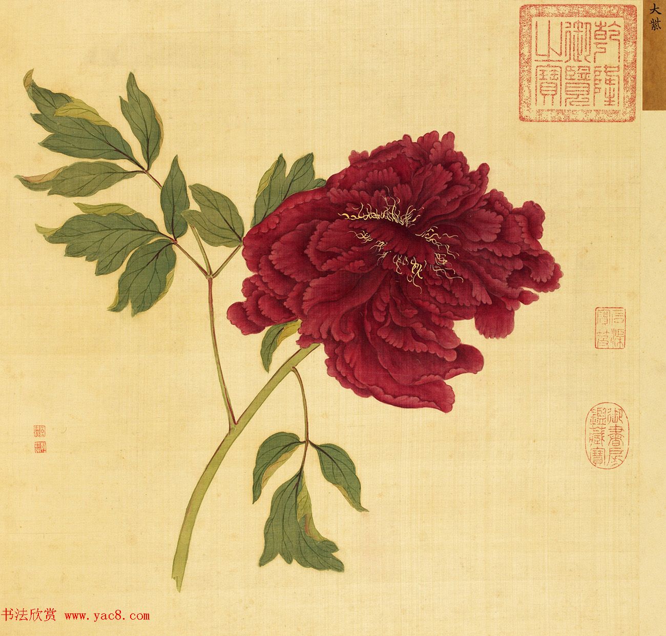 宫廷书法家戴临行书《题蒋廷锡牡丹谱》