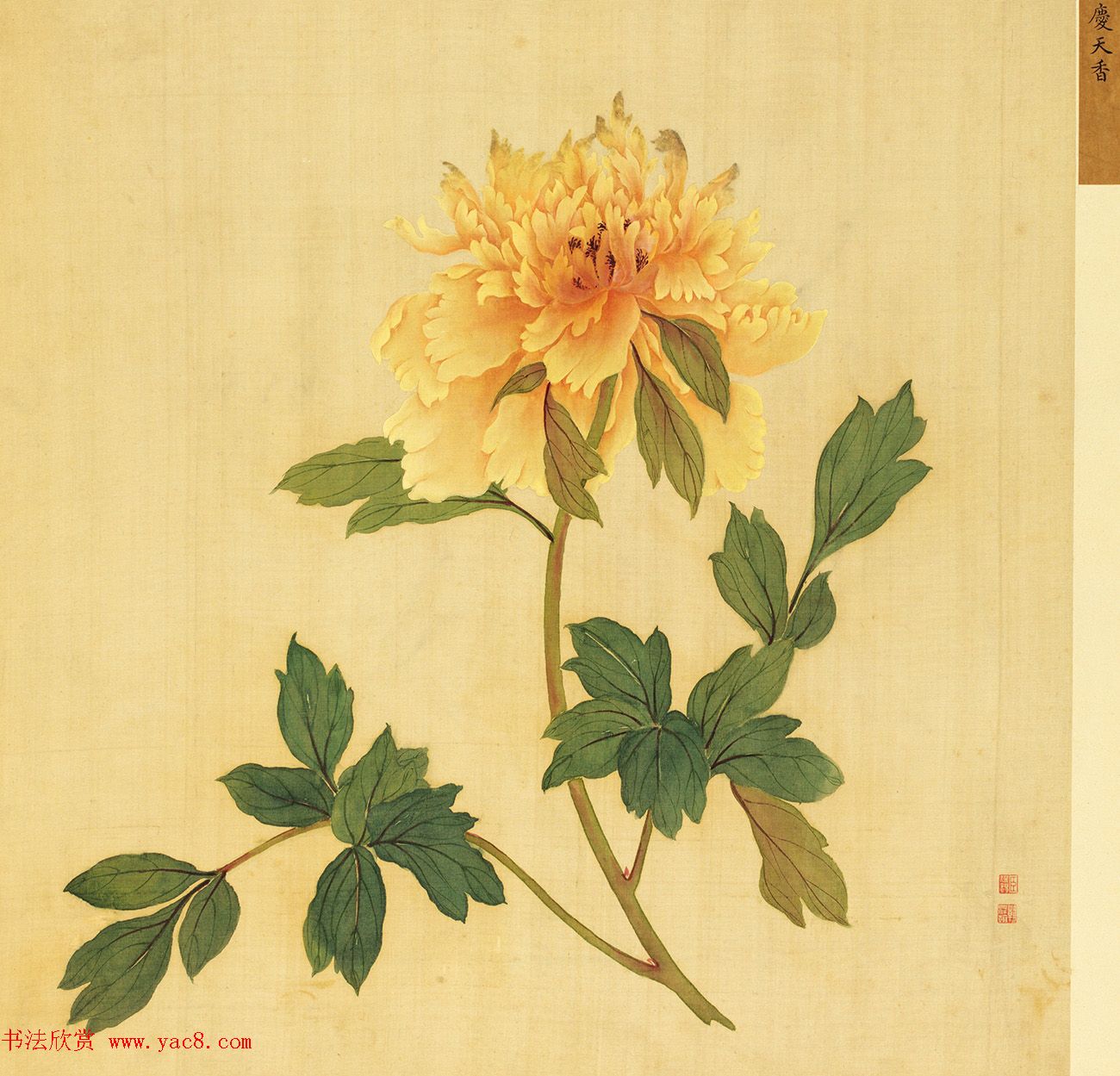 宫廷书法家戴临行书《题蒋廷锡牡丹谱》