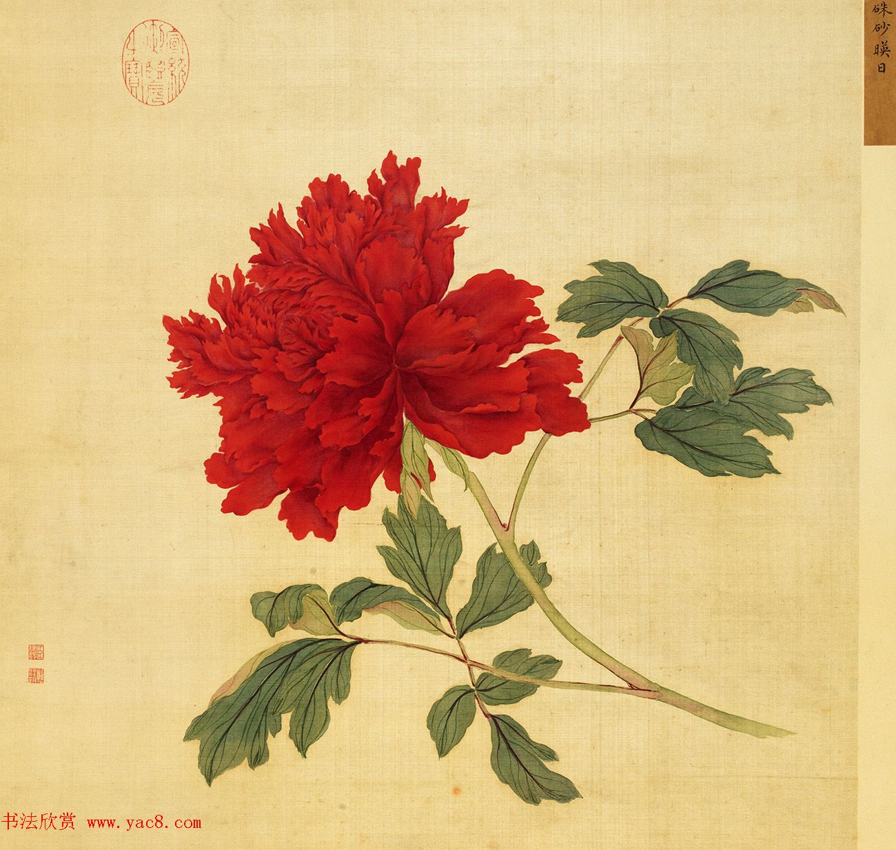 宫廷书法家戴临行书《题蒋廷锡牡丹谱》