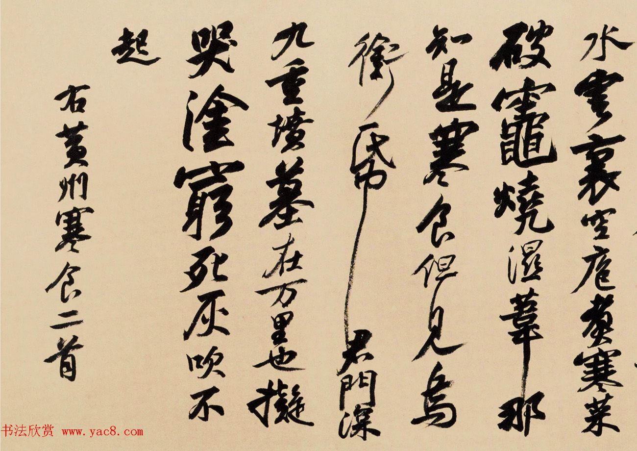 陈忠康书法视频临《黄州寒食帖》