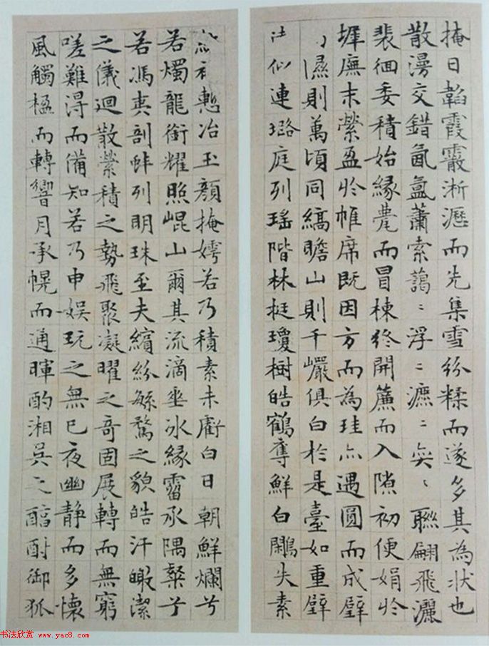 文徵明81岁小楷《雪赋》+《月赋》