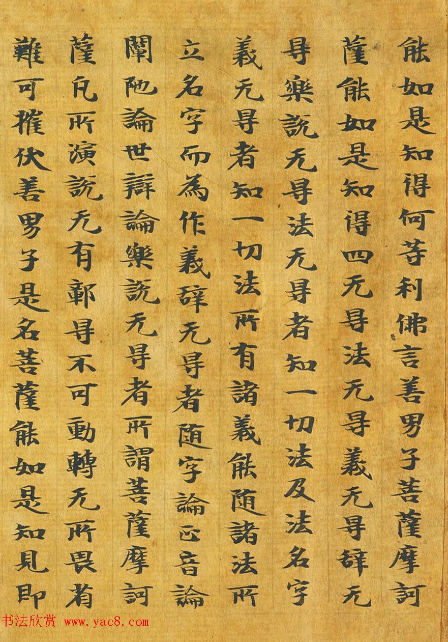 隋代释善藏书写《大般涅槃经卷十六》