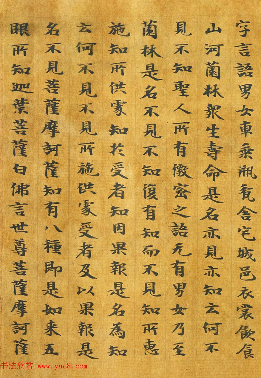 隋代释善藏书写《大般涅槃经卷十六》