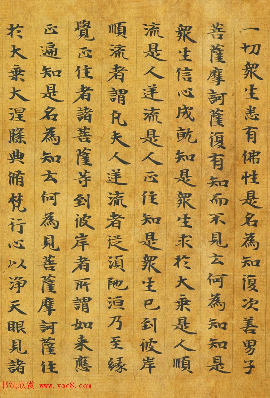 隋代释善藏书写《大般涅槃经卷十六》