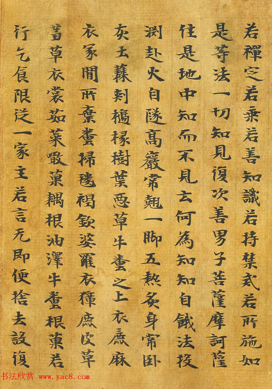 隋代释善藏书写《大般涅槃经卷十六》