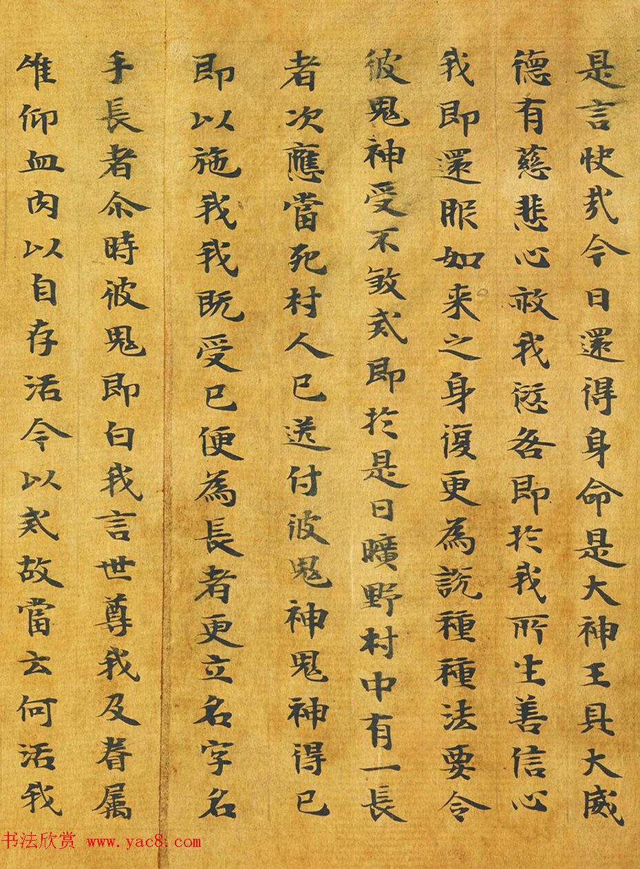 隋代释善藏书写《大般涅槃经卷十六》