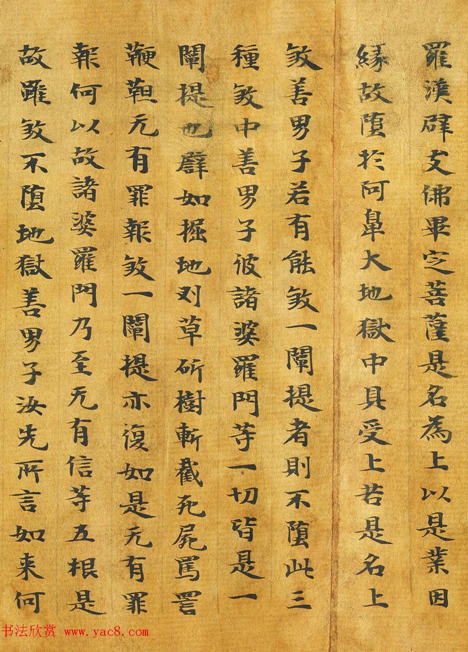 隋代释善藏书写《大般涅槃经卷十六》