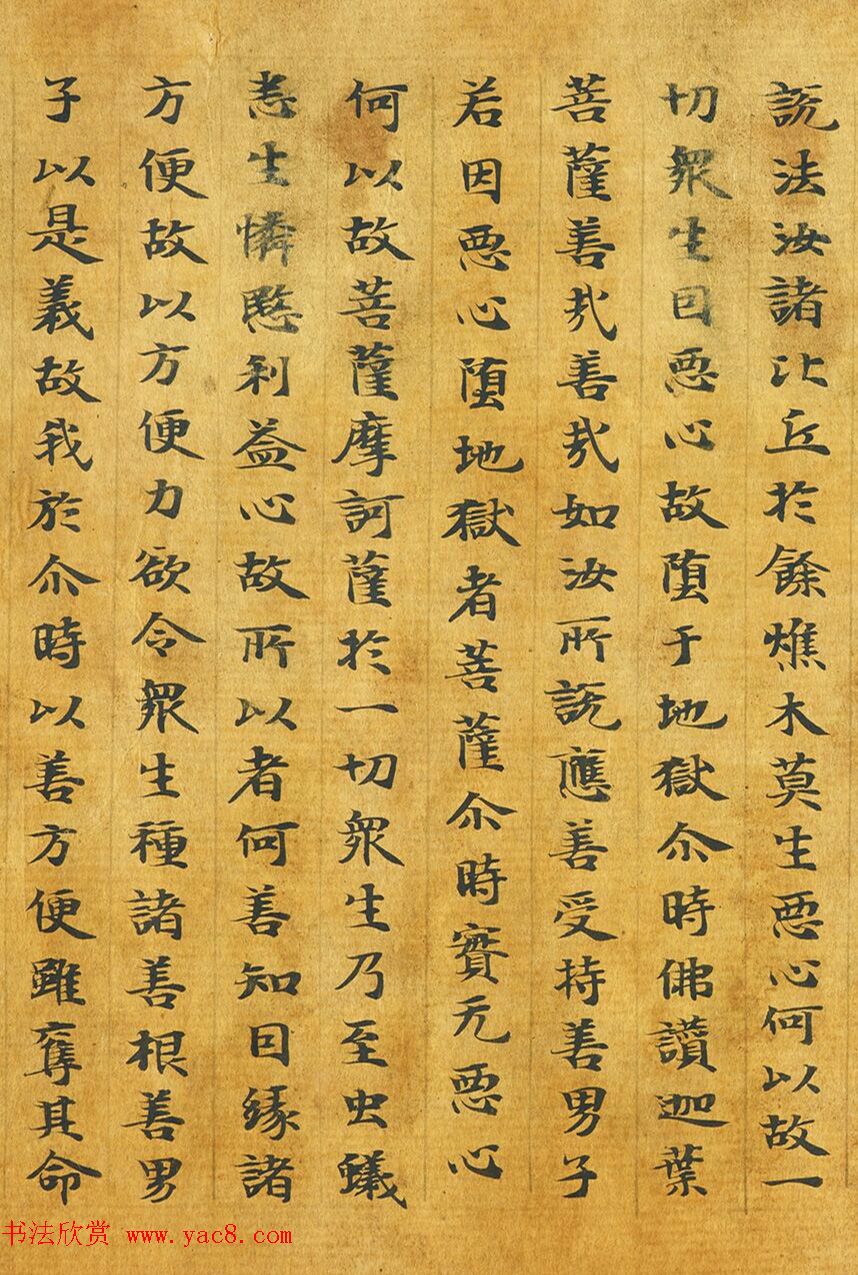 隋代释善藏书写《大般涅槃经卷十六》