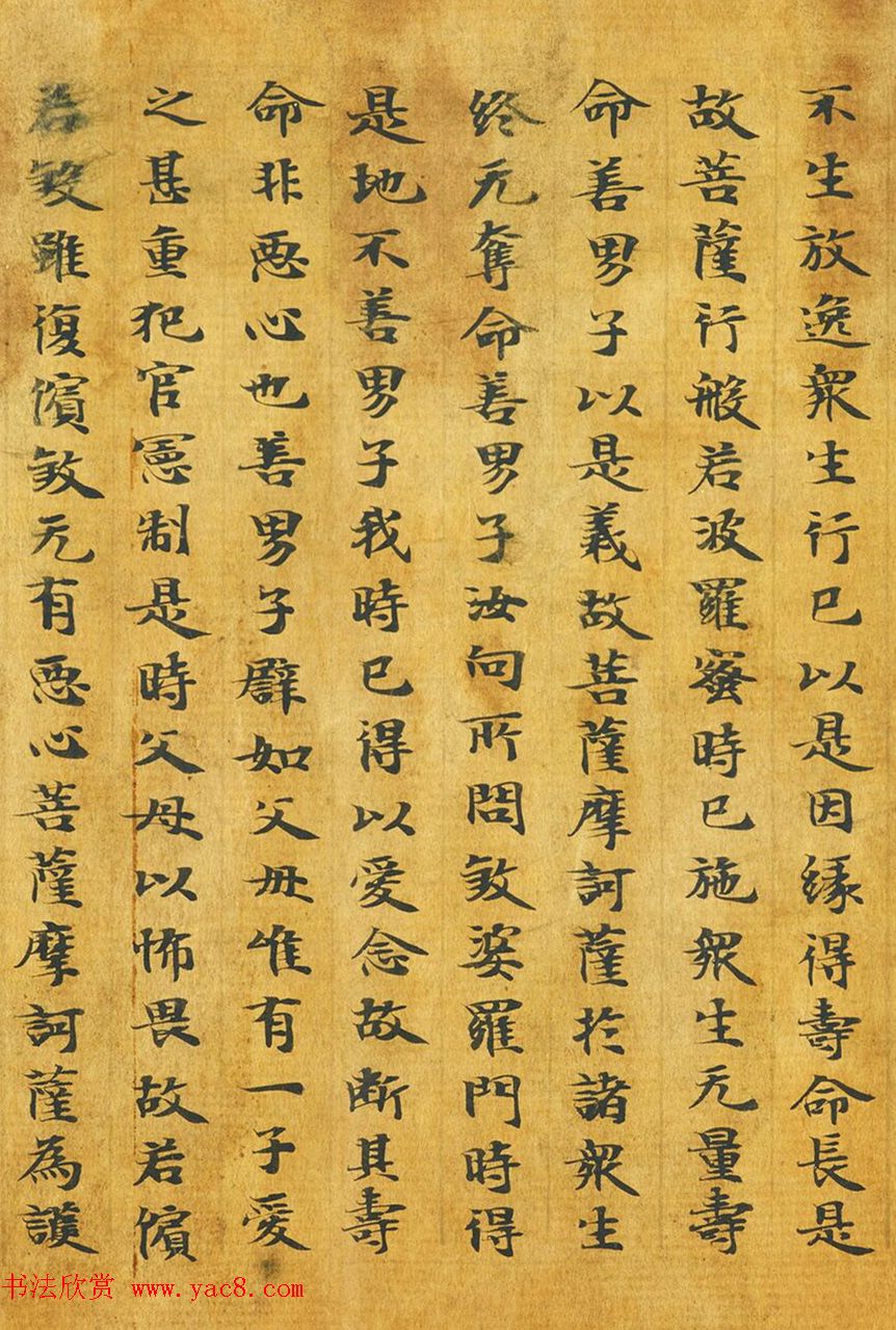 隋代释善藏书写《大般涅槃经卷十六》